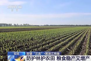 名宿：米兰不该在客场丢4分 职业球员无需伊布就会在场上付出一切